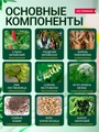 Китайская Чудо Мазь FU LE WANG YI JUN GAO (Ван Юэ), от кожных заболеваний (Оригинал)
