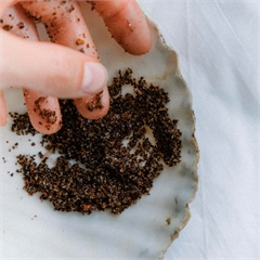 Скраб для тела, кофейный, натуральный «Кофе»