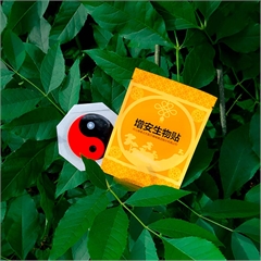 Биостикер магнитный урологический при нарушениях мочевыделительной системы Биостикер магнитный урологический при нарушениях мочевыделительной системы